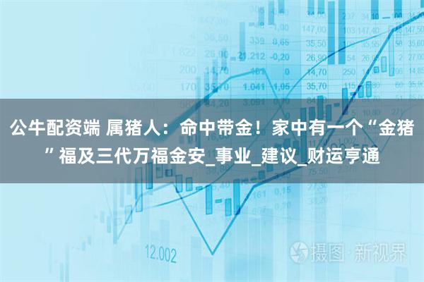 公牛配资端 属猪人：命中带金！家中有一个“金猪”福及三代万福金安_事业_建议_财运亨通